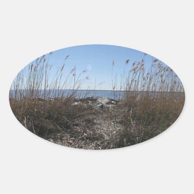 Pegatina Ovalada Playa colonial 1 (Anverso)