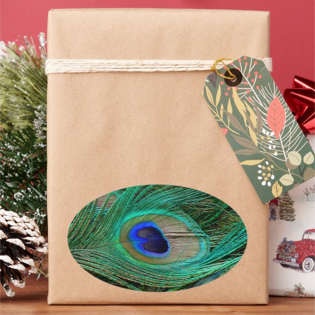 Pegatina Ovalada Pluma de pavo real azul india (Vacaciones)