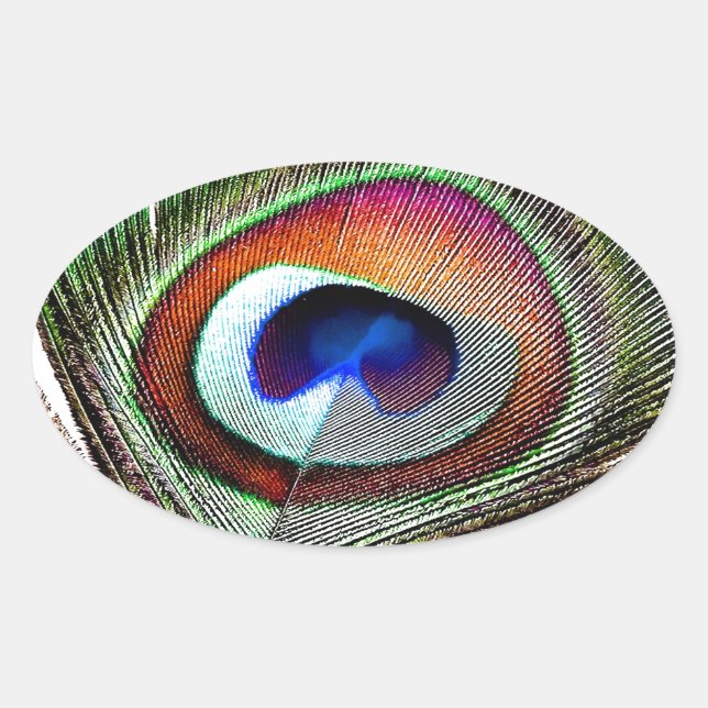 Pegatina Ovalada Pluma de pavo real de cobre colorida (Anverso)