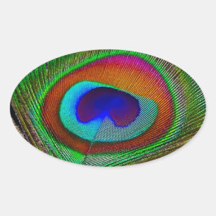Pegatina Ovalada Pluma de pavo real de cobre vibrante