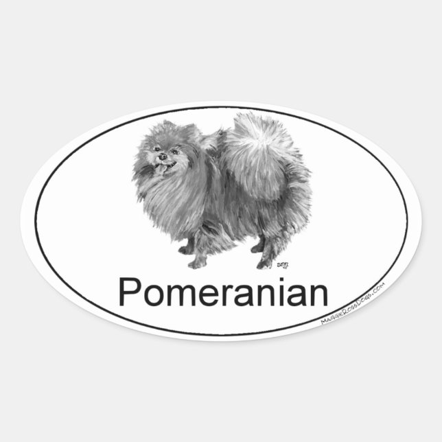 Pegatina Ovalada Pomerania Euro (Anverso)