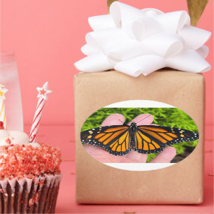 Pegatina Ovalada Portando una mariposa monarca