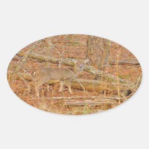 Pegatina Ovalada Primer invierno de Baby Deer