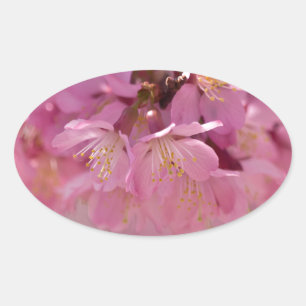 Pegatina Ovalada Ramo delicado de flor de cerezo Sakura