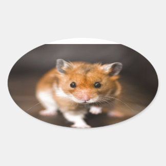 Pegatina Ovalada Ratty el hamster