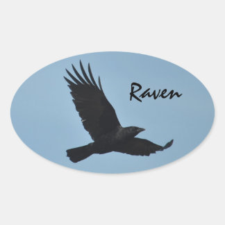 Pegatina Ovalada Raven negro volando en foto de cielo azul