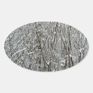 Pegatina Ovalada Resumen de invierno de ramas cubiertas de nieve