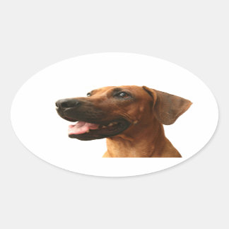Pegatina Ovalada Rhodesian Ridgeback