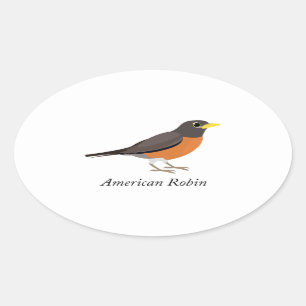 Pegatina Ovalada Robin estadounidense
