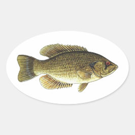 Pegatina Ovalada Rock Bass - Red Eye