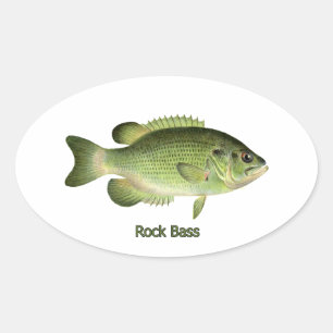 Pegatina Ovalada Rock Bass - Redeye