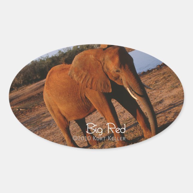 Pegatina Ovalada Rojo grande (Anverso)