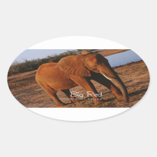 Pegatina Ovalada Rojo grande