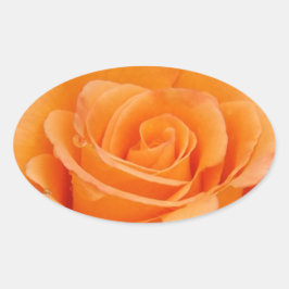 Pegatina Ovalada Rosa naranja