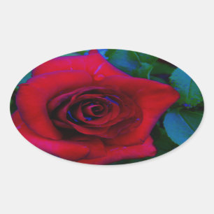 Pegatina Ovalada Roses rojos con tonos azules