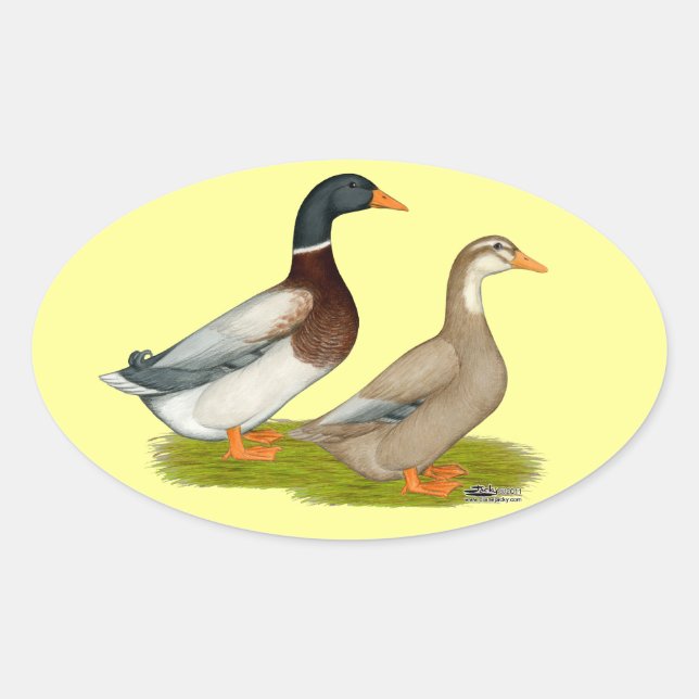 Pegatina Ovalada Sajonia Ducks (Anverso)