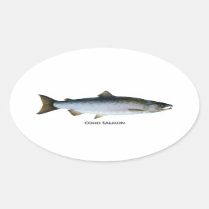 Pegatina Ovalada Salmones de Coho