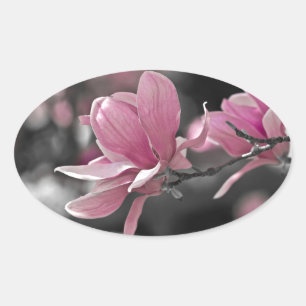 Pegatina Ovalada Salsa rosa japonés Magnolia