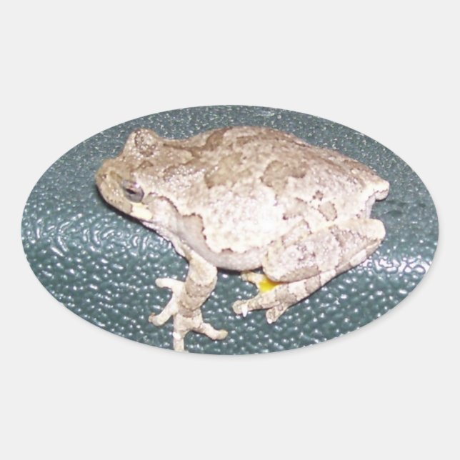 Pegatina Ovalada ¡Sentir 'Froggy! (Anverso)