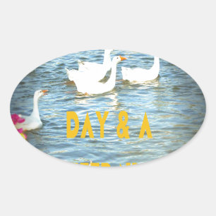 Pegatina Ovalada Siempre dejamos satisfechos a nuestros clientes.