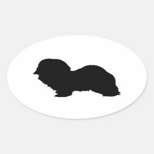 Pegatina Ovalada silueta havanese