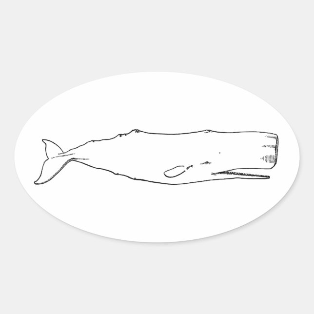 Pegatina Ovalada Sperm Whale (arte de la línea) (Anverso)