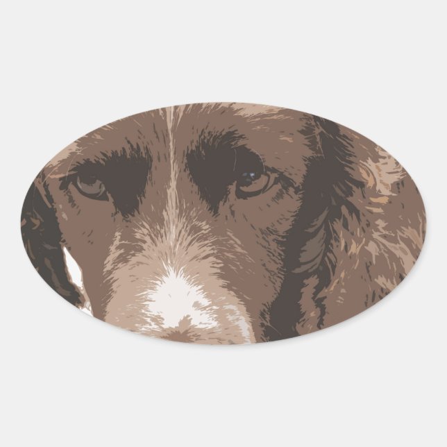 Pegatina Ovalada Springer inglesa (Anverso)