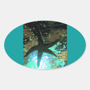 Pegatina Ovalada Starfish CB