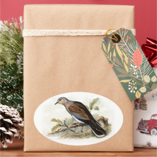 Pegatina Ovalada Streptopelia turtur Dove Wild Bird Feather Art