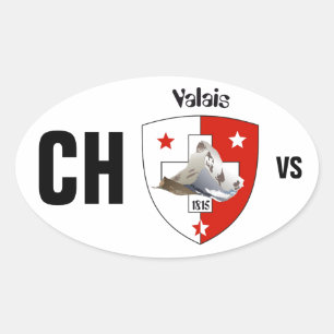 Pegatina Ovalada Suiza Suisse Svizzera Svizra Switzerland pegamento