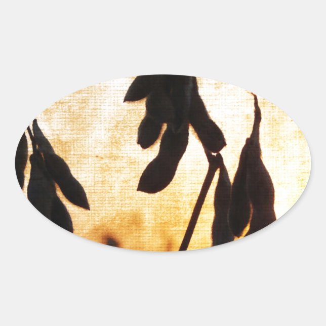 Pegatina Ovalada Sunset de soja (Anverso)