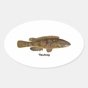 Pegatina Ovalada Tautog (pez negro)