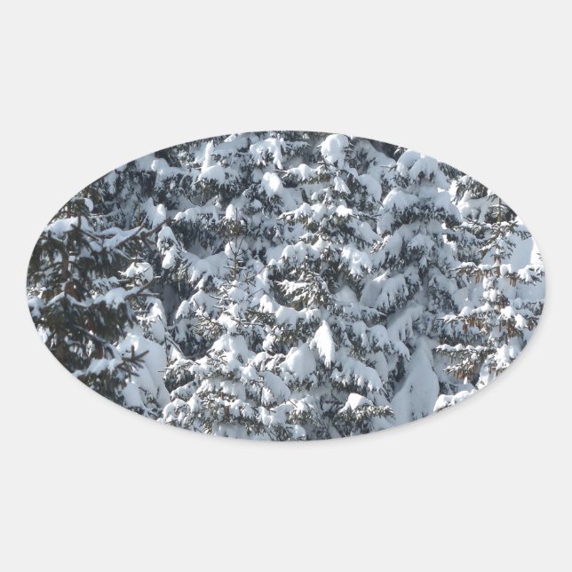 Pegatina Ovalada Textura de árbol de flor de nieve (Anverso)