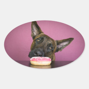 Pegatina Ovalada This Yamm yamm i want to have donut