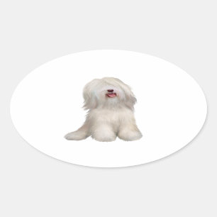 Pegatina Ovalada Tibetano Terrier (blanco)