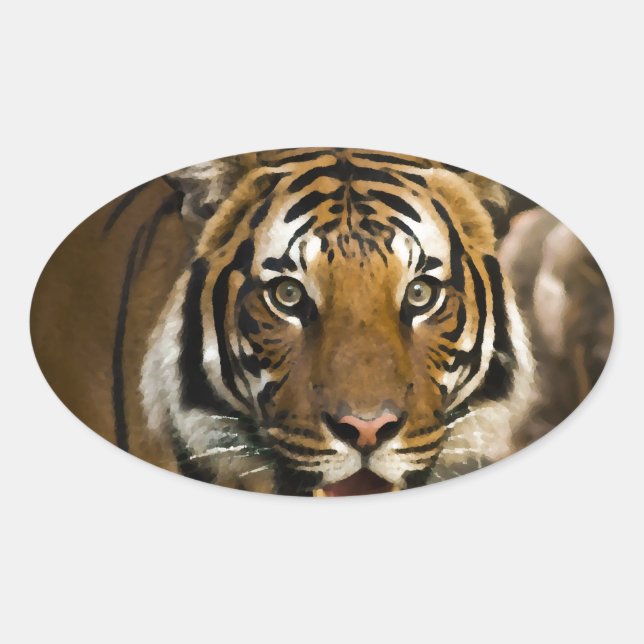 Pegatina Ovalada Tigre de Siberia (Anverso)