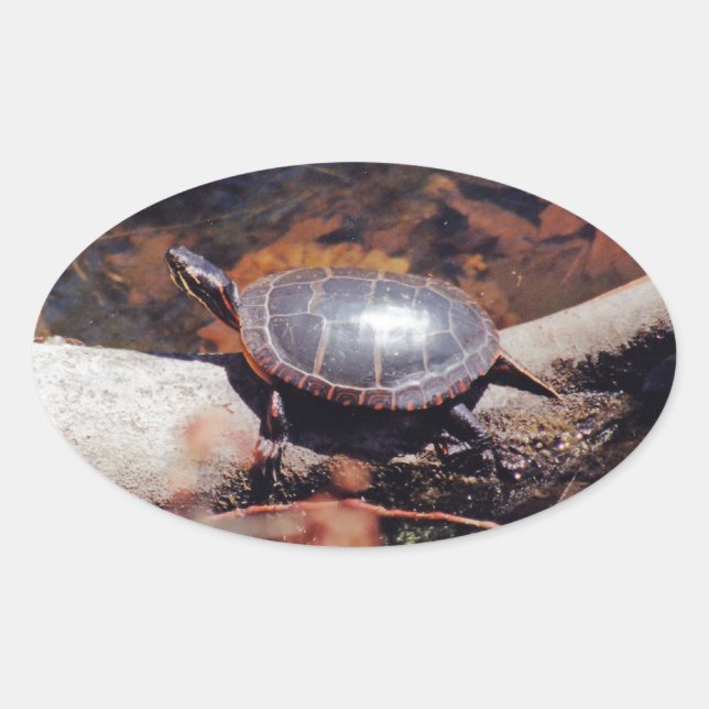 Pegatina Ovalada Tortuga feliz (Anverso)