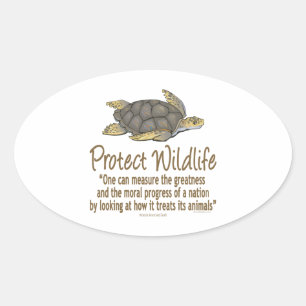 Pegatina Ovalada Tortugas marinas