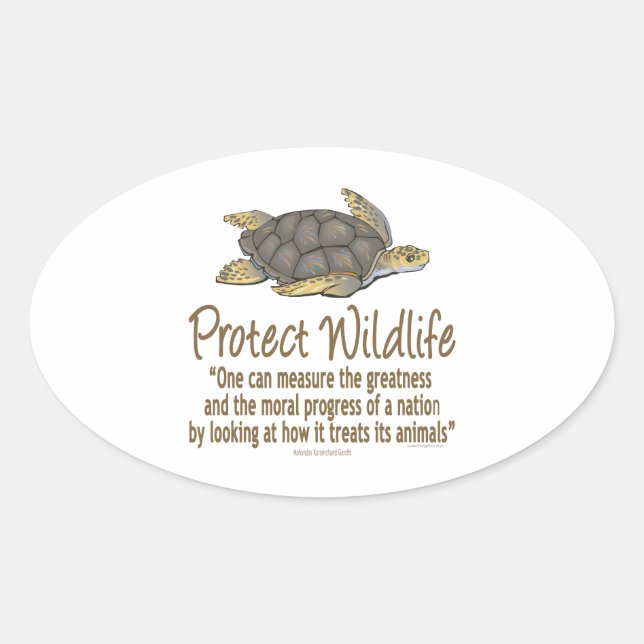 Pegatina Ovalada Tortugas marinas (Anverso)