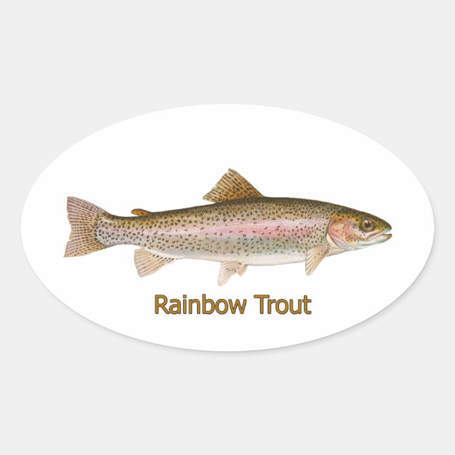 Pegatina Ovalada Trucha arco iris (con título) (Anverso)