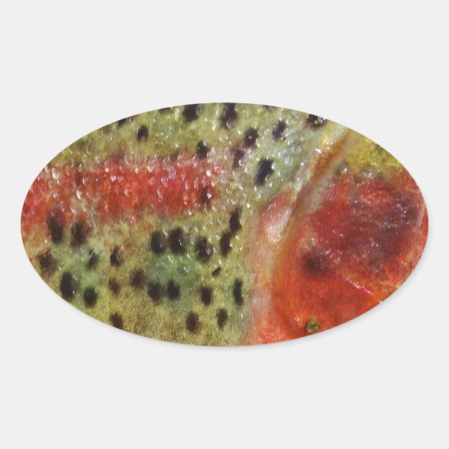 Pegatina Ovalada Trucha en manos (Anverso)