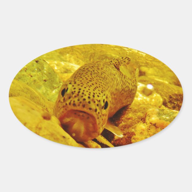 Pegatina Ovalada Truco en la corriente (Anverso)