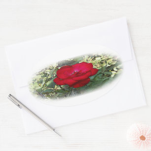 Pegatina Ovalada Un rosa solitario