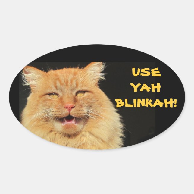 Pegatina Ovalada Use Yah Blinkah dice Boston Kittah (Anverso)