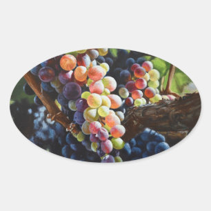 Pegatina Ovalada Uvas de abundancia para amantes del vino y bodegas
