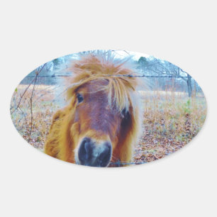 Pegatina Ovalada Valentine Heart Horse