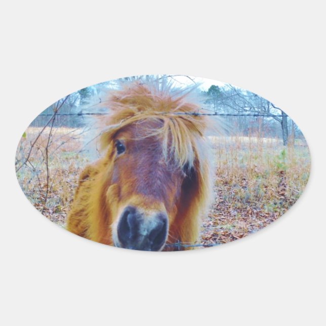 Pegatina Ovalada Valentine Heart Horse (Anverso)