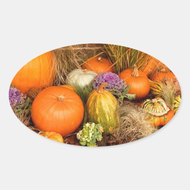 Pegatina Ovalada Varias calabazas (Anverso)