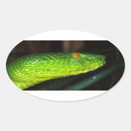 Pegatina Ovalada Viper snake de Stejneger