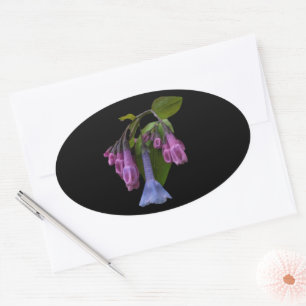 Pegatina Ovalada Virginia Bluebells Wildflower